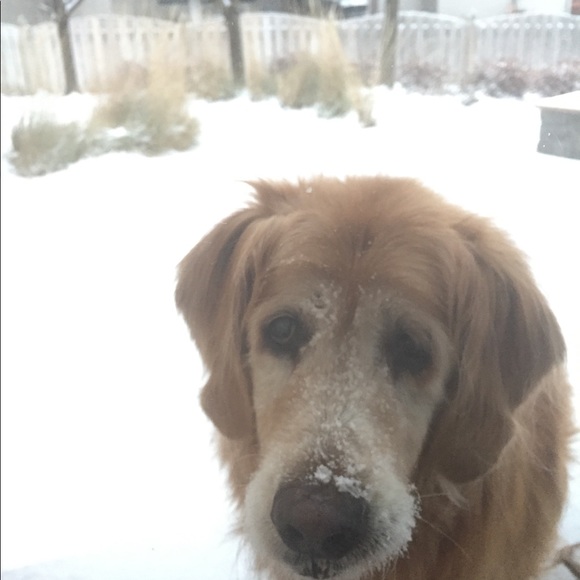 Meet your Posher, Erin - Picture 4 of 6